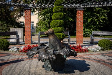 Niechorze, Polonya - 19 Eylül 2023: Foka Depka Meydanı 'nda bronz bir mühür heykeli. 