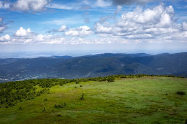 Polonya 'nın Snieznik Dağı' nın tepesindeki gözlem kulesinden dağ manzarası. Yeşil çayır, orman, insan yok..