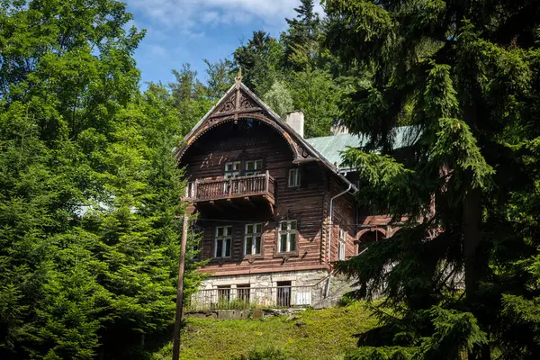 Miedzygorze, Polonya - 19 Haziran 2024: Snieznik Massif Dağları 'ndaki Miedzygorze köyündeki güzel tarihi villa evleri, dolnoslaskie Voyvoivoda. 