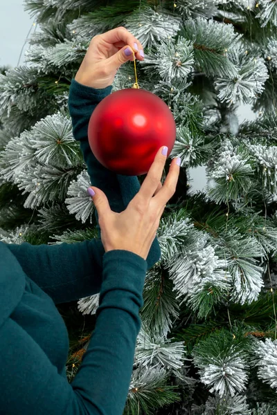 Women\'s well-groomed hands with manicure hang a big red ball on the Christmas tree. New year, Christmas. Hand care