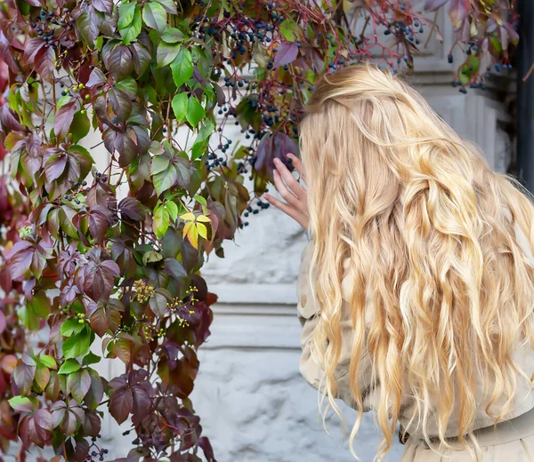 Girl Wild Grapes Long Blonde Luxurious Hair Scattered Back Beauty — Stock Photo, Image