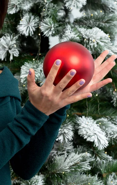 Women\'s well-groomed hands with manicure hold a red ball near the Christmas tree