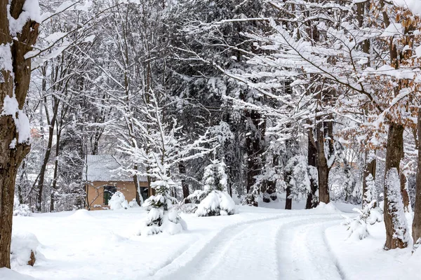 Winter Schneefall Winterverschneite Straße Inmitten Der Bäume — Stockfoto