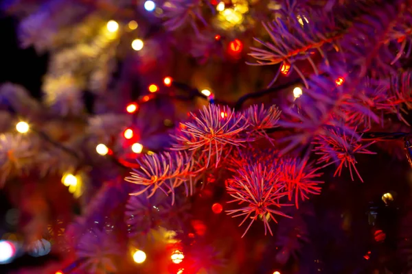 圣诞树在黑暗中闪烁着红色的光芒 圣诞节和新年背景的设计 节日快乐有选择的重点 分散重点 — 图库照片