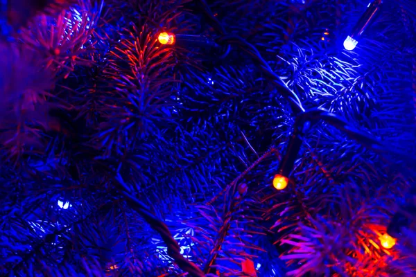 Árbol Navidad Oscuridad Iluminado Con Guirnalda Azul Fondo Navidad Año — Foto de Stock