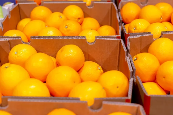 Massor Färska Mogna Apelsiner Lådor Handel Snabbköp Affärer Royaltyfria Stockbilder