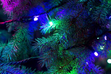 Karanlıkta, çok renkli bir Noel ağacı. Tasarım için yılbaşı ve yeni yıl geçmişi. İyi tatiller. Seçmeli odak, ayrışma