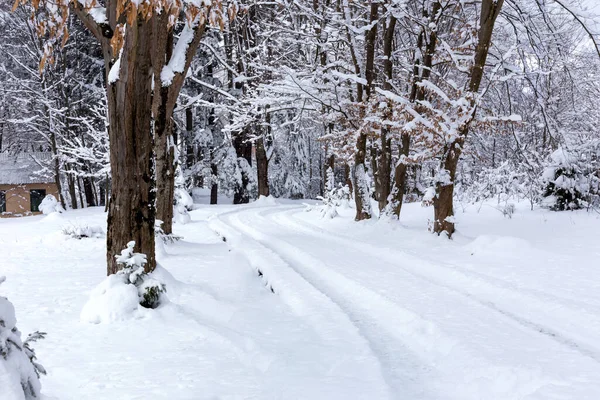 Winter Schneefall Winterwellige Verschneite Straße Wald — Stockfoto