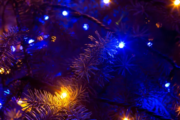Choinka Ciemności Oświetlona Niebieskimi Światłami Boże Narodzenie Nowy Rok Tła — Zdjęcie stockowe