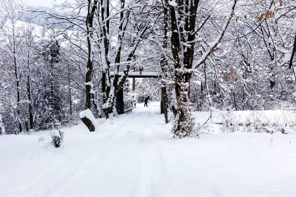 Дорога Горах Среди Деревьев Покрыта Снегом Далекий Человек Убирает Снег — стоковое фото
