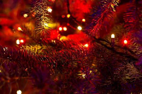 Choinka Ciemności Oświetlona Girlandą Boże Narodzenie Nowy Rok Tła Dla — Zdjęcie stockowe