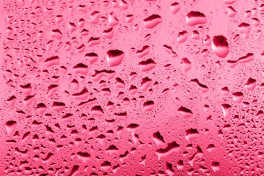 Gün batımında cama damlatıyor. Yakından parlıyor. Tasarımın ve ilhamın için mükemmel bir eflatun arka plan. Seçici odaklanma, dikkati dağıt. Seçici odaklanma, dikkati dağıt. 2023 Yılı Rengi