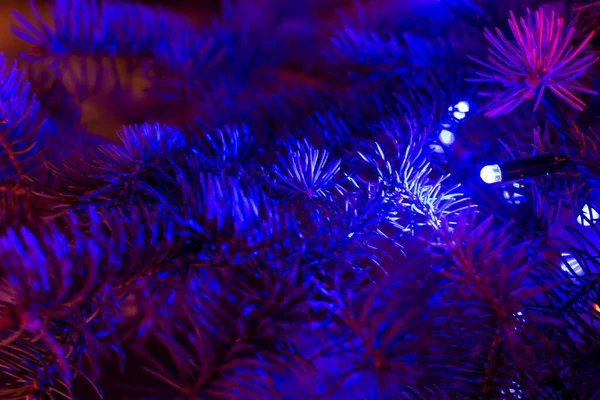Choinka Ciemności Niebieskim Blasku Boże Narodzenie Nowy Rok Tła Dla — Zdjęcie stockowe