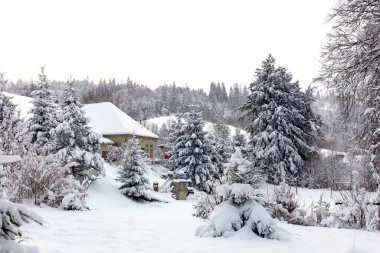 Kış son sürat devam ediyor, etrafta çok kar var. Karpatların dağları. Kış seyahatleri