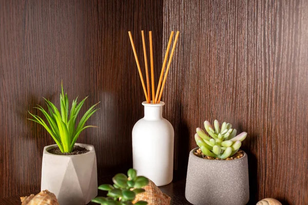 Aromatic reed diffuser in the corner between flowers on a wooden background. Shells are lying next to it. The concept of coziness and comfort. Aromatherapy. Interior.
