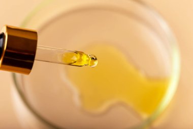 Petri kabının üzerine sarı sıvı damlatan. Losyonlu, esanslı, serumlu, emülsiyonlu bir boru. Doğal organik kozmetik. Vücut bakımı kavramı