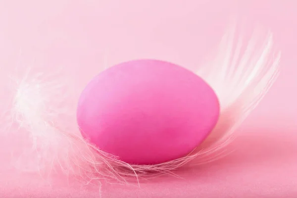 stock image Magenta Easter egg on white fluffy feather on pink background. Close-up, copy space. Mockup