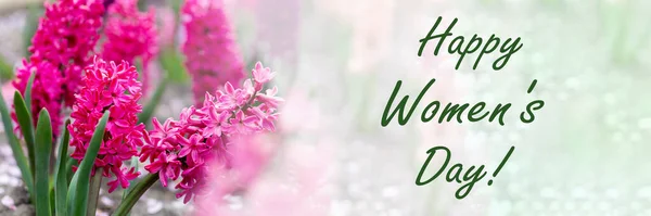 Sztandar Sms Okazji Dnia Kobiet Różowymi Hiacyntami Bardzo Piękna Karta — Zdjęcie stockowe