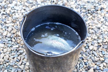 Taze yakalanmış alabalık kayalıklardaki bir kova suda. Balıkçılık ve yakalama. Spor ve eğlence sektörü. Seçmeli odak, ayrışma