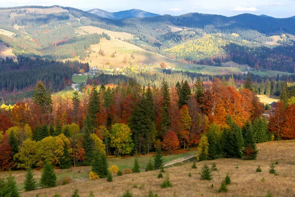 Beautiful Colorful Autumn Mountains Sunshine Beauty Carpathians Tourism Travel — Stock Photo, Image