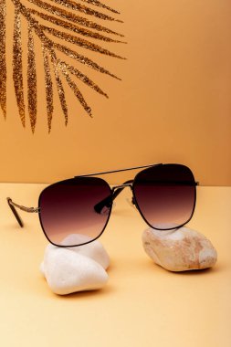 Doğal taşlarla dengelenmiş gradyan lensli siyah havacı gözlükleri parlak palmiye yaprağıyla bej arka planda. Zarif ve sofistike bir yaz aksesuarı.