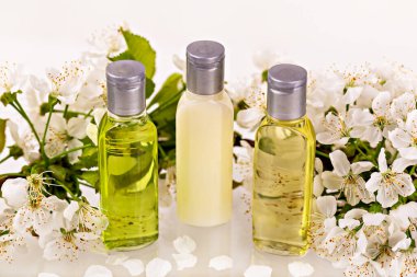 Üç aromaterapi yağı şişesi narin beyaz çiçeklerin arasında duruyor. Yumuşak çiçekli arka plan kendine bakım, sağlık ve doğal güzellik kavramını geliştirir. Organik cilt teması için estetik kompozisyon