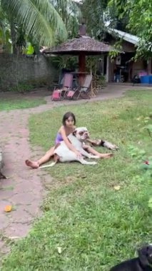 Mutlu 9-10 yaşındaki kız yazın bahçede çimlerin üzerinde büyük ve küçük bir köpekle oynuyor.