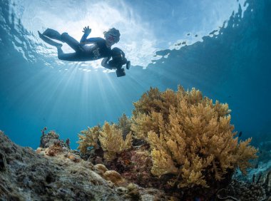 Suyun altında mutlu genç bir kız renkli bir mercan resifinin arka planına doğru skuter ve fotoğrafçıya bakar.