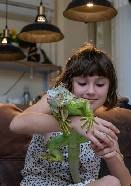 9-10 yaşlarında genç bir kız elinde yeşil bir iguana tutuyor ve gülümsüyor. İguana iguana sp., öngörünüm