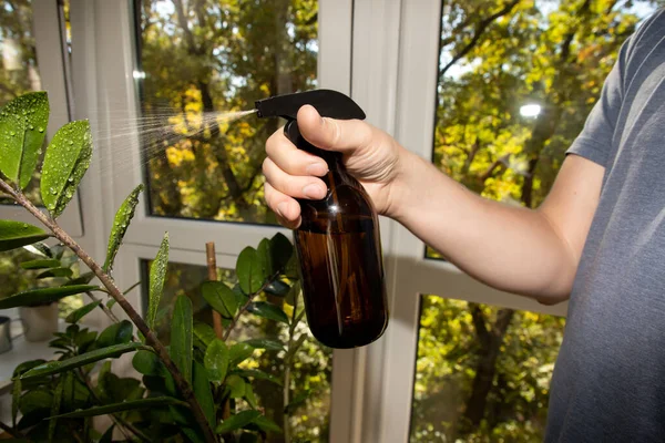 Close-up of a mans hand spraying a large vase from an amber glass sprayer on a balcony. Front view, selective focus