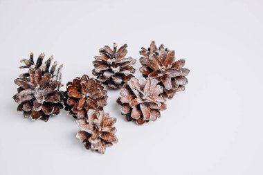 Beyaz arka planda parıldayan çam kozalakları. Noel arkaplanı, üst görünüm