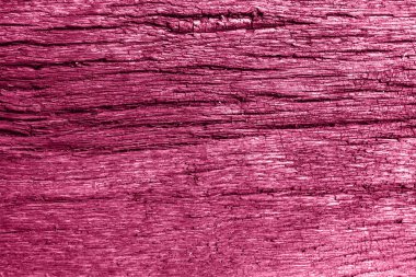 Ağaç kabuğu olmadan kuru ahşap dokusu, canlı morumsu doğal arkaplan, ön manzara
