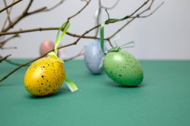 Decorative colourful eggs on the wooden branches on green background. Happy Easter. Front view
