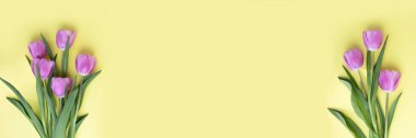 Gently pink tulips on the yellow background. Spring web banner with a bouquet of flowers with copy space. Flat lay