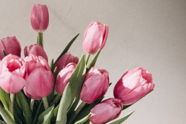 Gently pink bouquet of tulips in a vase. Spring background with a bouquet of flowers. Front view