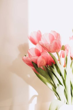 Gently pink bouquet of tulips in a white vase. Spring background with a bouquet of flowers. Front view