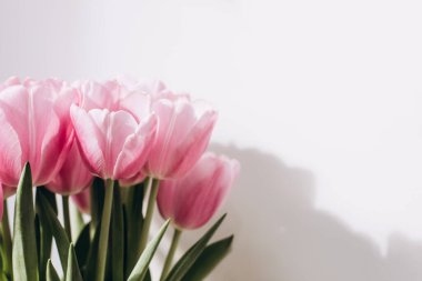 Beyaz bir vazoda, nazikçe pembe lale buketi. Bir buket çiçekle bahar arkaplanı. Ön görünüm