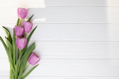 Pale pink delicate tulips on a white wooden background. Spring background with a bouquet of flowers. Top view