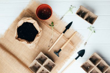 Bahçıvanlık kavramı. Eve sebze tohumu ekiyorum. Tohumlar için turba kasetleri, bahçe aletleri, beyaz ahşap arka planda toprak. Düz yatıyordu