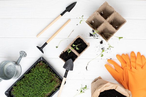 Concept of gardening. Planting seedlings of vegetable crops in the house. Peat cassettes for seedlings, garden tools, orange gloves, soil on a white wooden background. Flat lay