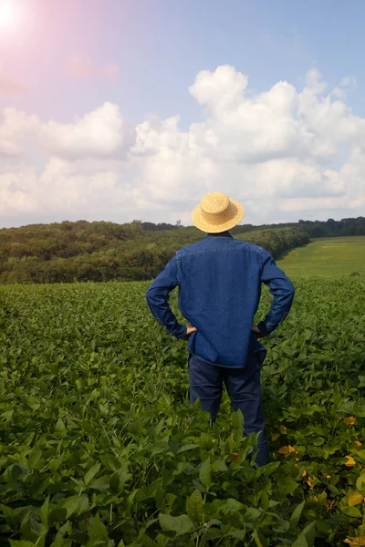 Der Landwirt Und Agronom Steht Mit Dem Rücken Zur Wand — Stockfoto