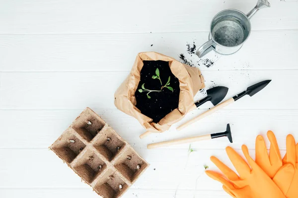 stock image Concept of gardening. Planting seedlings of vegetable crops in the house. Peat cassettes for seedlings, garden tools, orange gloves, soil on a white wooden background. Flat lay