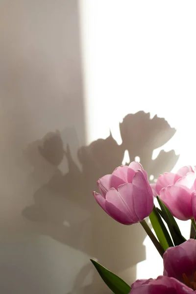 Gently pink bouquet of tulips in a white vase. Spring background with a bouquet of flowers. Front view
