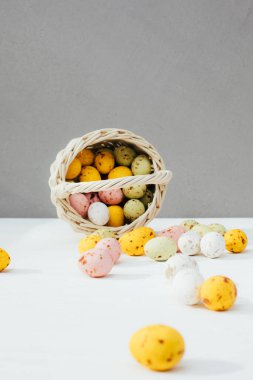 Tahta beyaz arka planda saman sepetinde renkli yumurtalar. Paskalya bayramının sembolü. Paskalya geçmişi. Ön görünüm