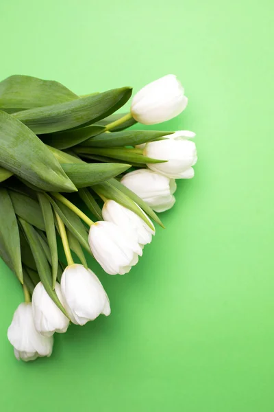 Белые Тюльпаны Зеленом Фоне Тенью Весенний Фон Букетом Цветов Копировальным — стоковое фото