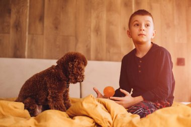 Oğlan, kırmızı bir kaniş köpeğiyle sarı kötü yerde oturur. Çocuk köpeğiyle oynuyor. Ön görünüm