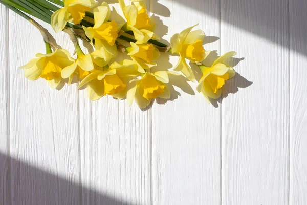 Yellow Daffodils White Wooden Background Bright Daylight Shadows Natural Background — Stock Photo, Image