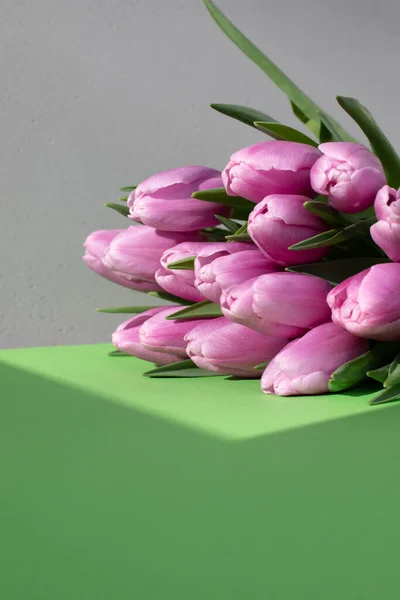 Gently Pink Tulips Gray Green Background Shadow Spring Background Bouquet — Stock Photo, Image