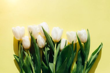 Sarı arka planda gölgeli beyaz laleler. Fotokopi alanı olan bir buket çiçekle bahar arkaplanı. Üst görünüm