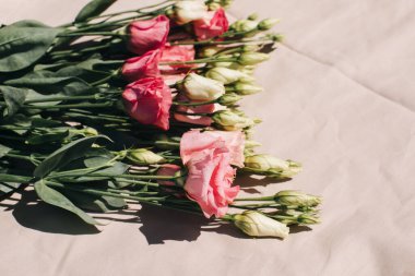 Bej arka planda nazikçe pembe Eustomas. Fotokopi alanı olan bir buket çiçekle doğal arka plan. Düz yatıyordu